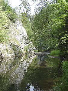 Fluss mit Felsufer